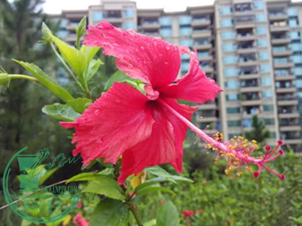 IMG_20151005_163831.jpg
