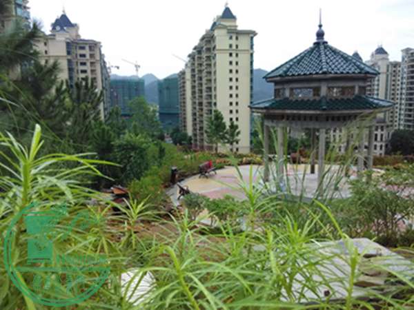 IMG_20151005_164016.jpg