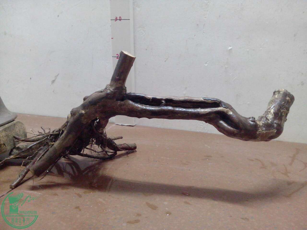 image.jpg