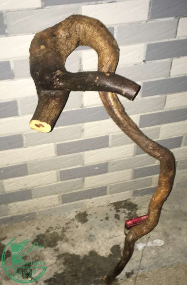 image.jpeg