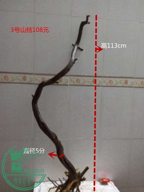 P60331-194205_.jpg