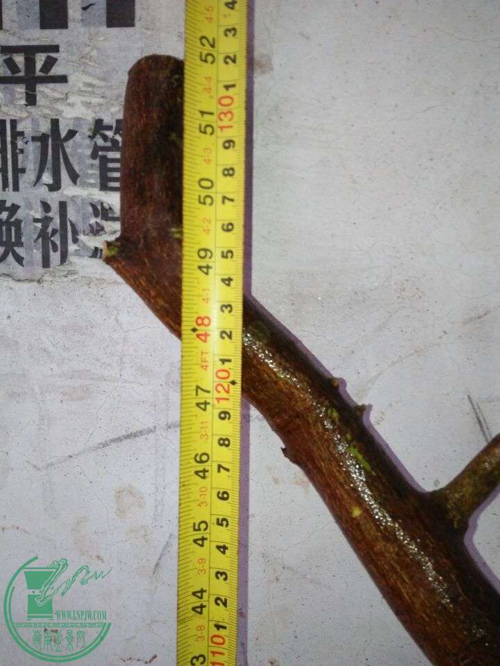 QQͼƬ20160331214428.jpg
