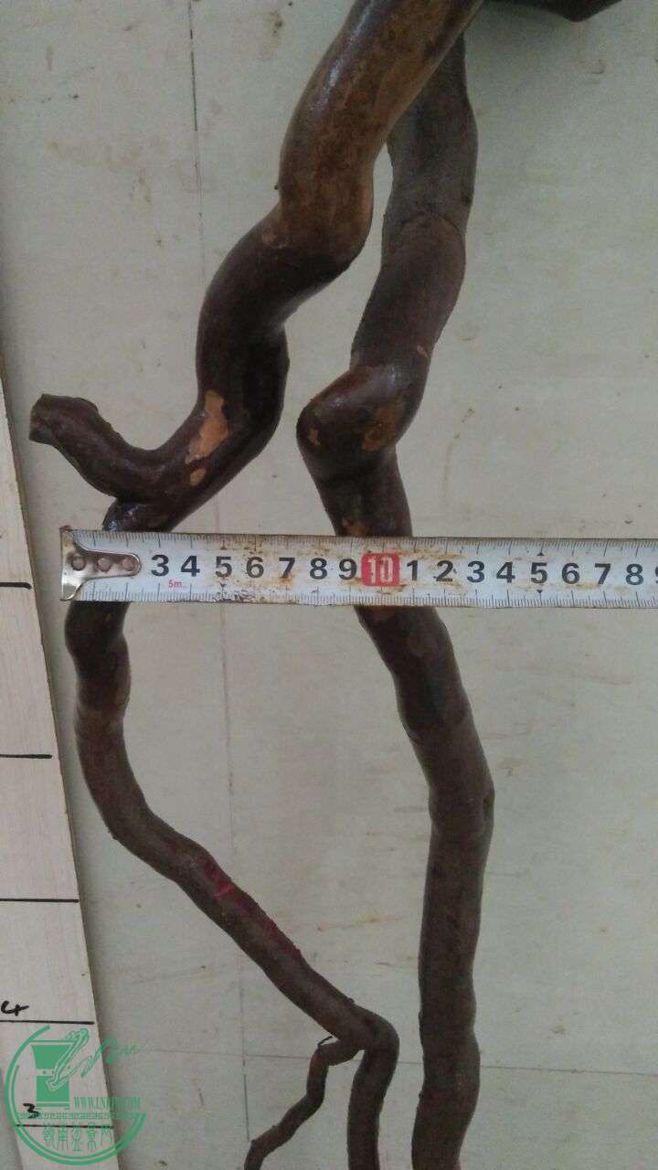 QQͼƬ20160331193734.jpg