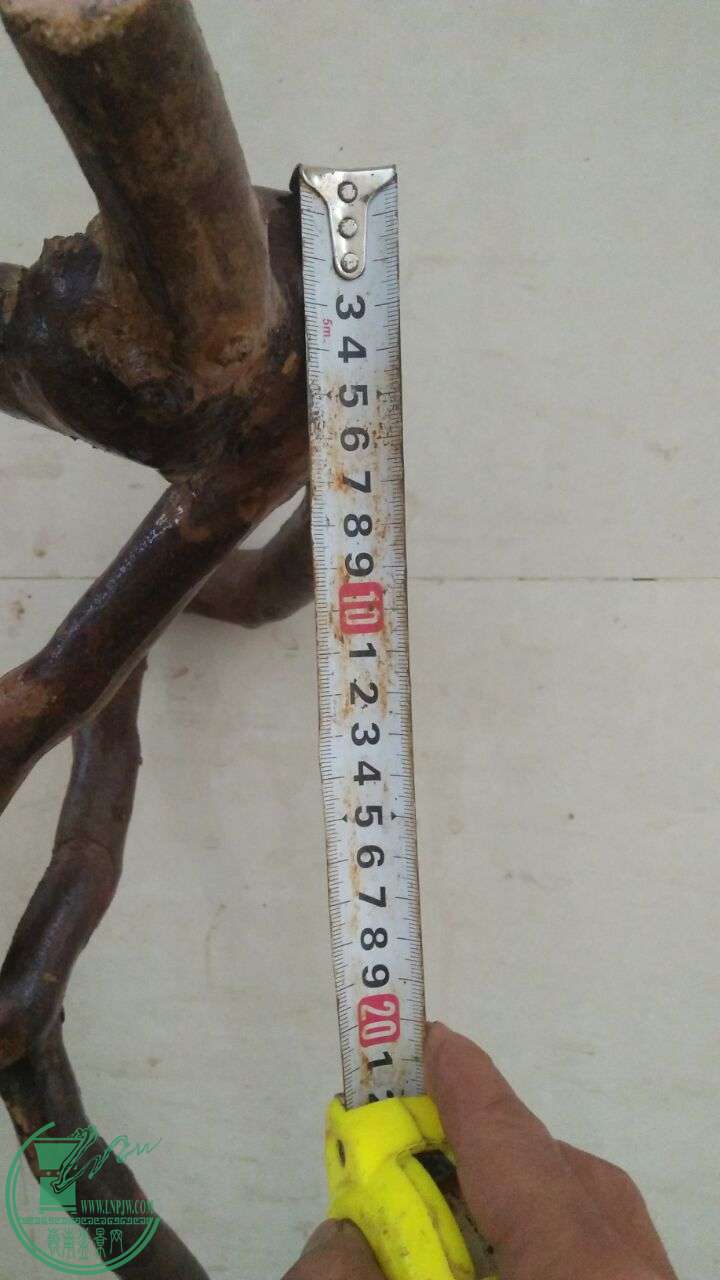QQͼƬ20160331193747.jpg