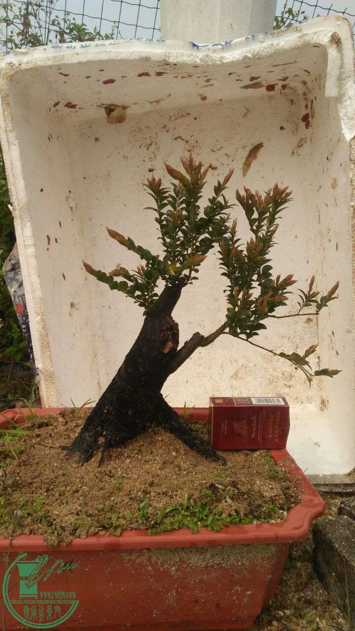 QQͼƬ20160331193740.jpg