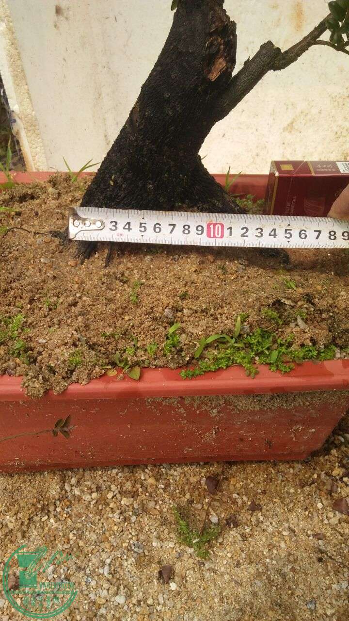 QQͼƬ20160331193811.jpg