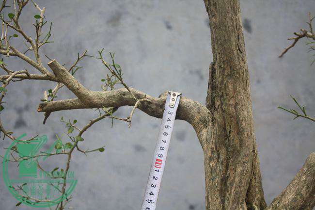Ƭ20131026ۺ 1041.jpg
