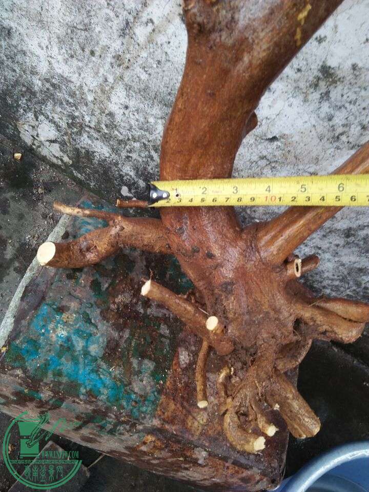 QQͼƬ20160401181149.jpg