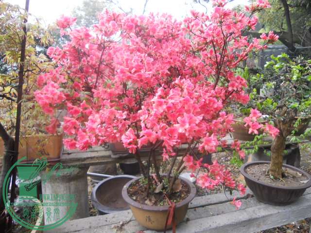 DSCN0722.jpg