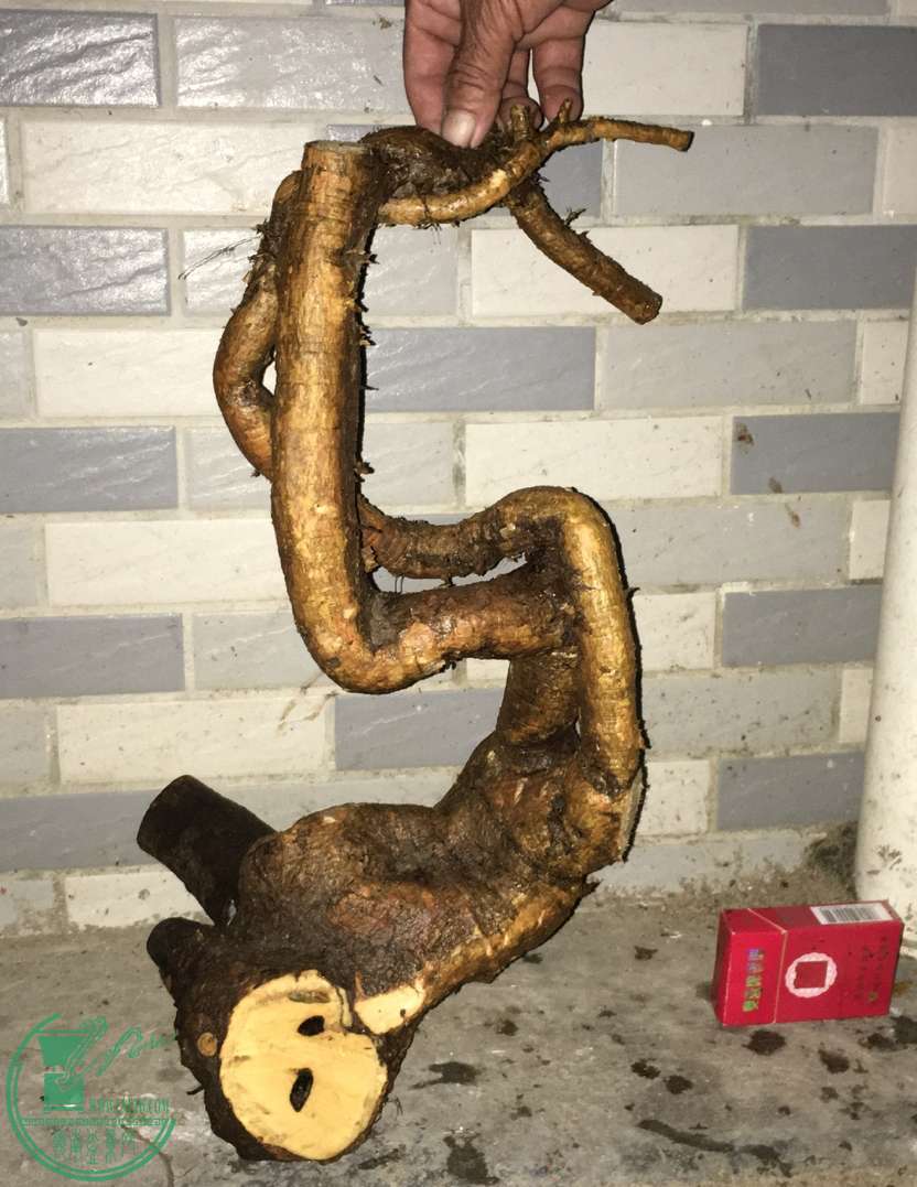 image.jpeg
