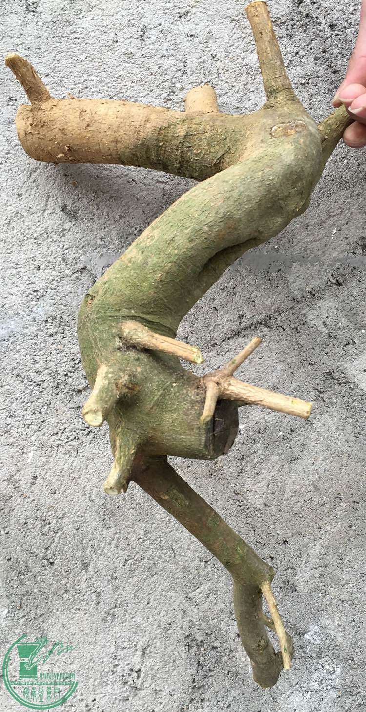 image.jpeg