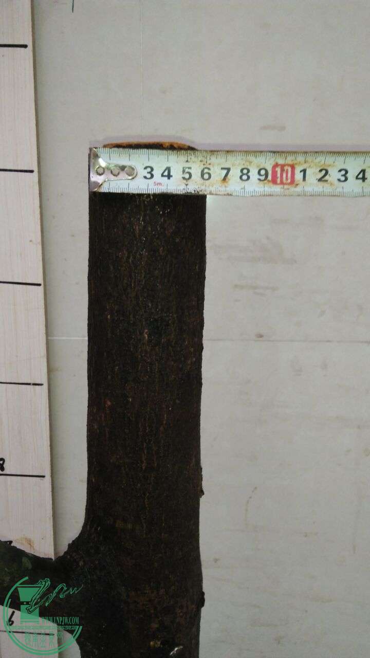 QQͼƬ20160402181448.jpg