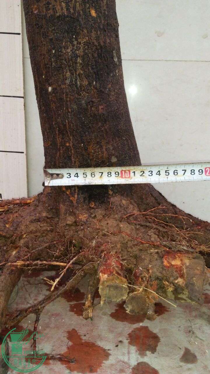 QQͼƬ20160402181421.jpg