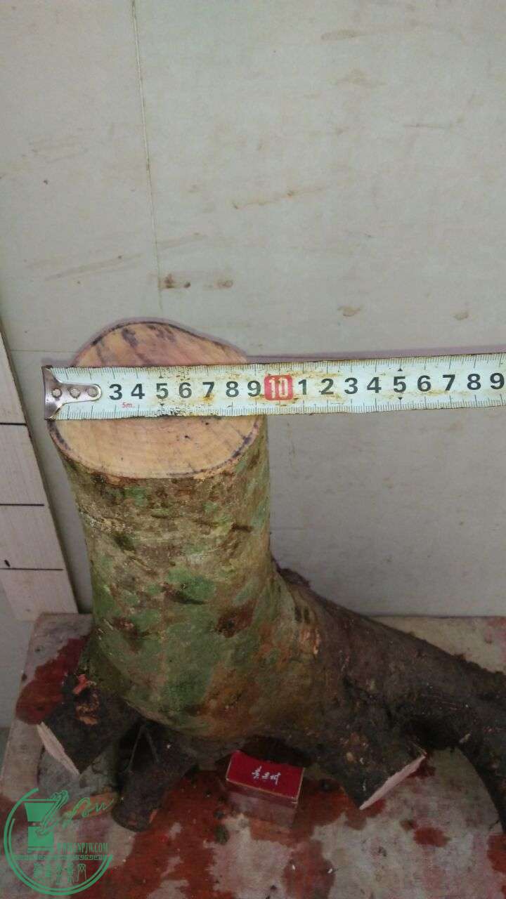 QQͼƬ20160402181427.jpg