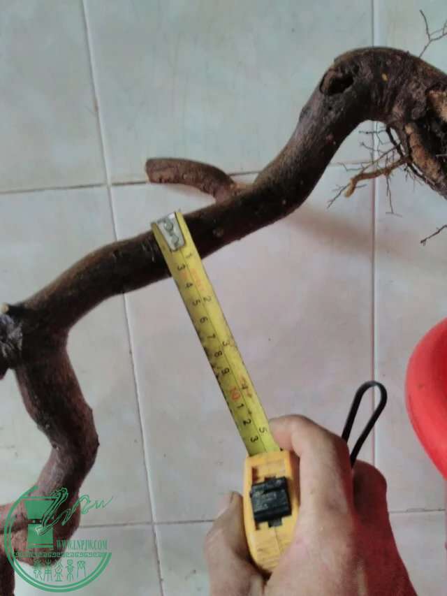 psb(31).jpg