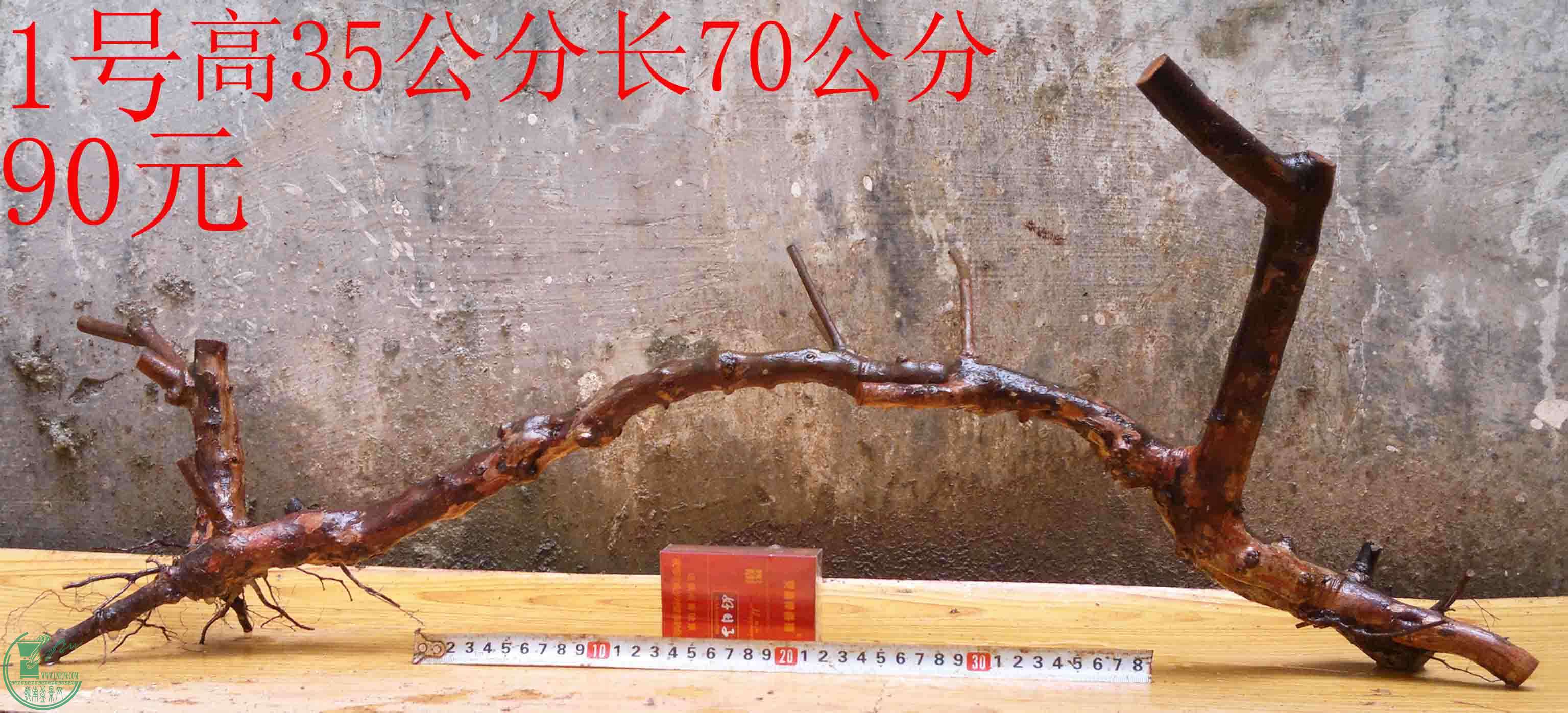 2016040314217.jpg