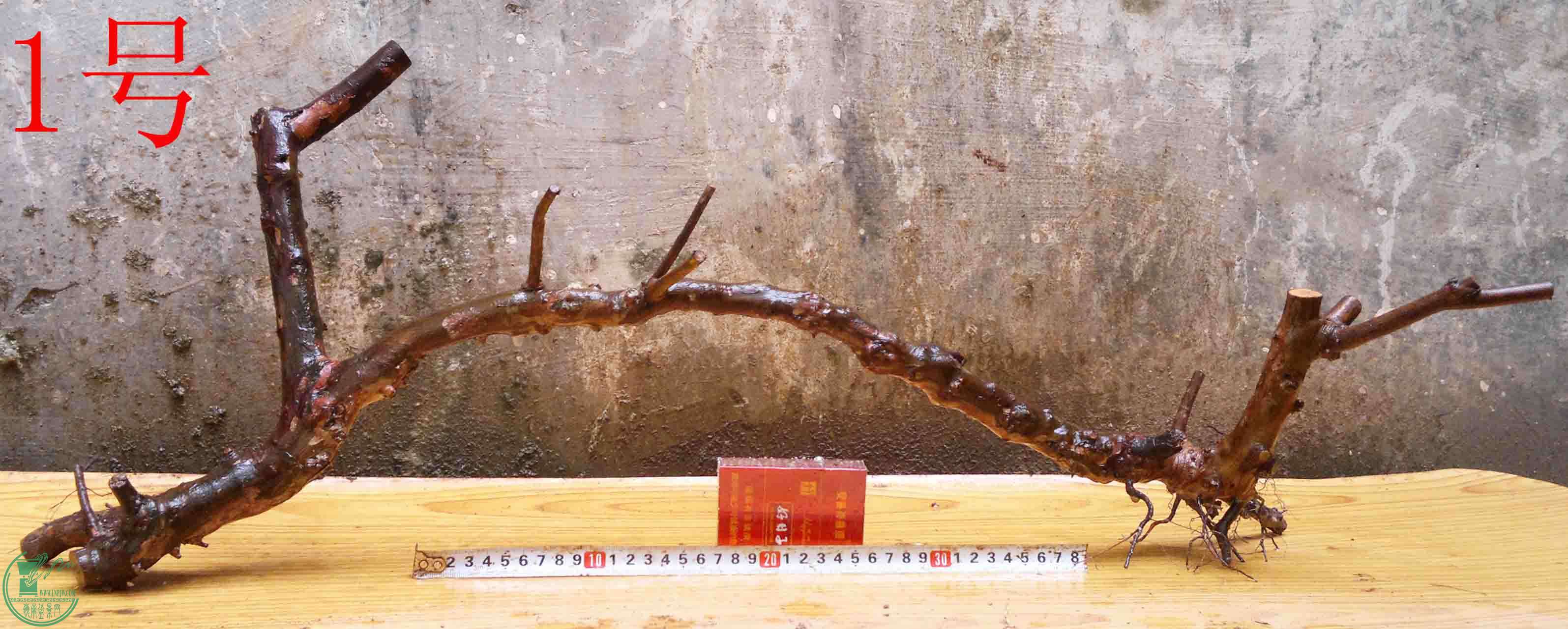 2016040314224.jpg