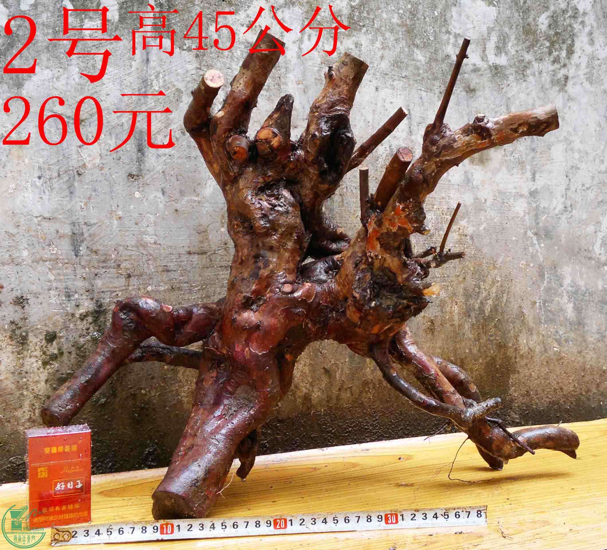 2016040314236.jpg