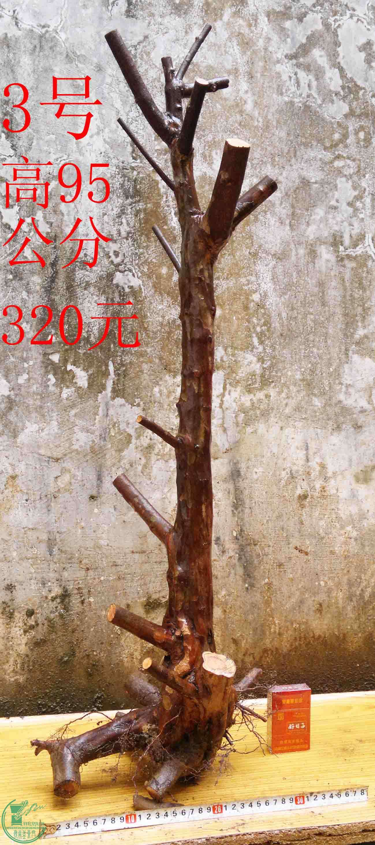 2016040314267.jpg