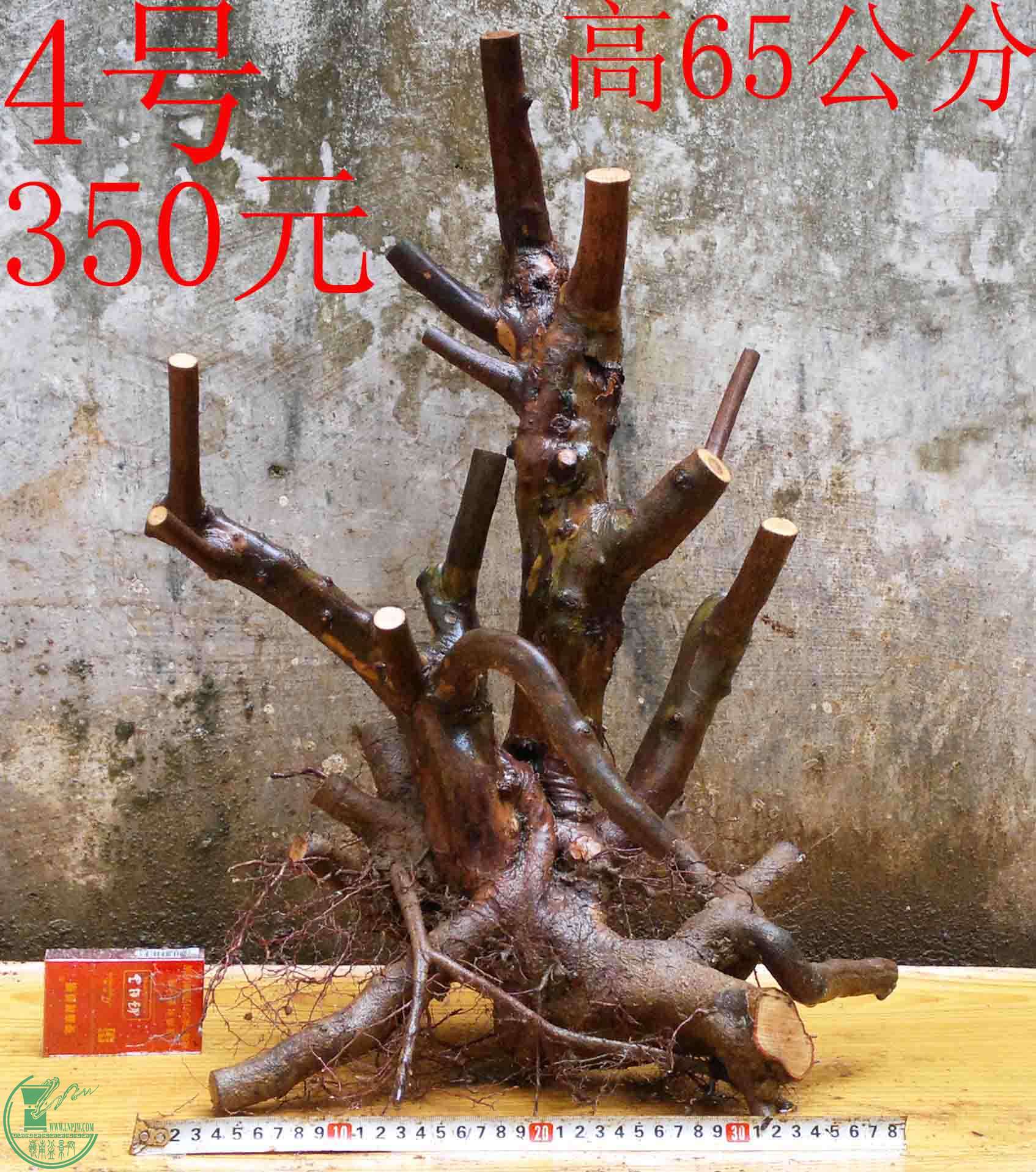 2016040314298.jpg