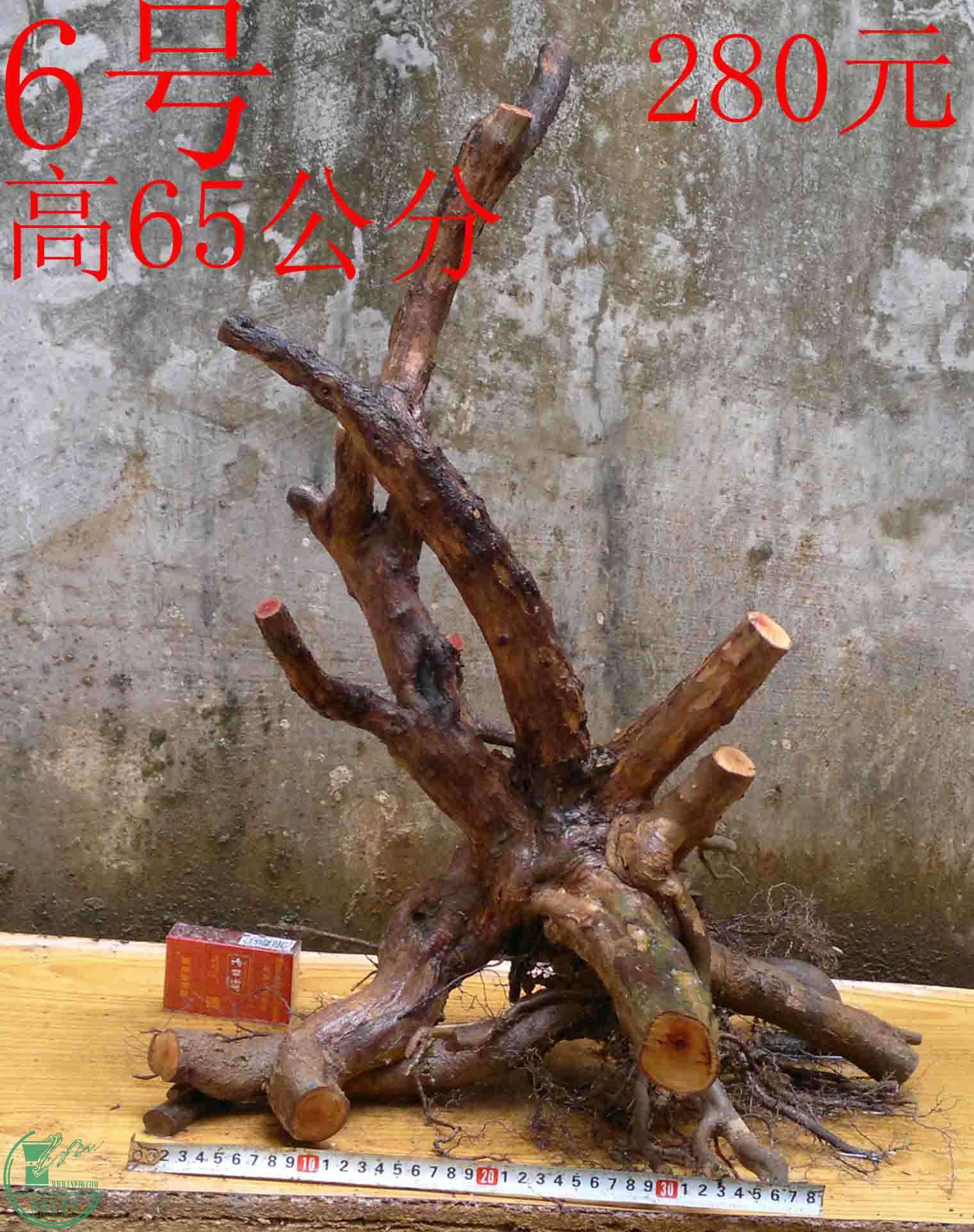 2016040314355.jpg