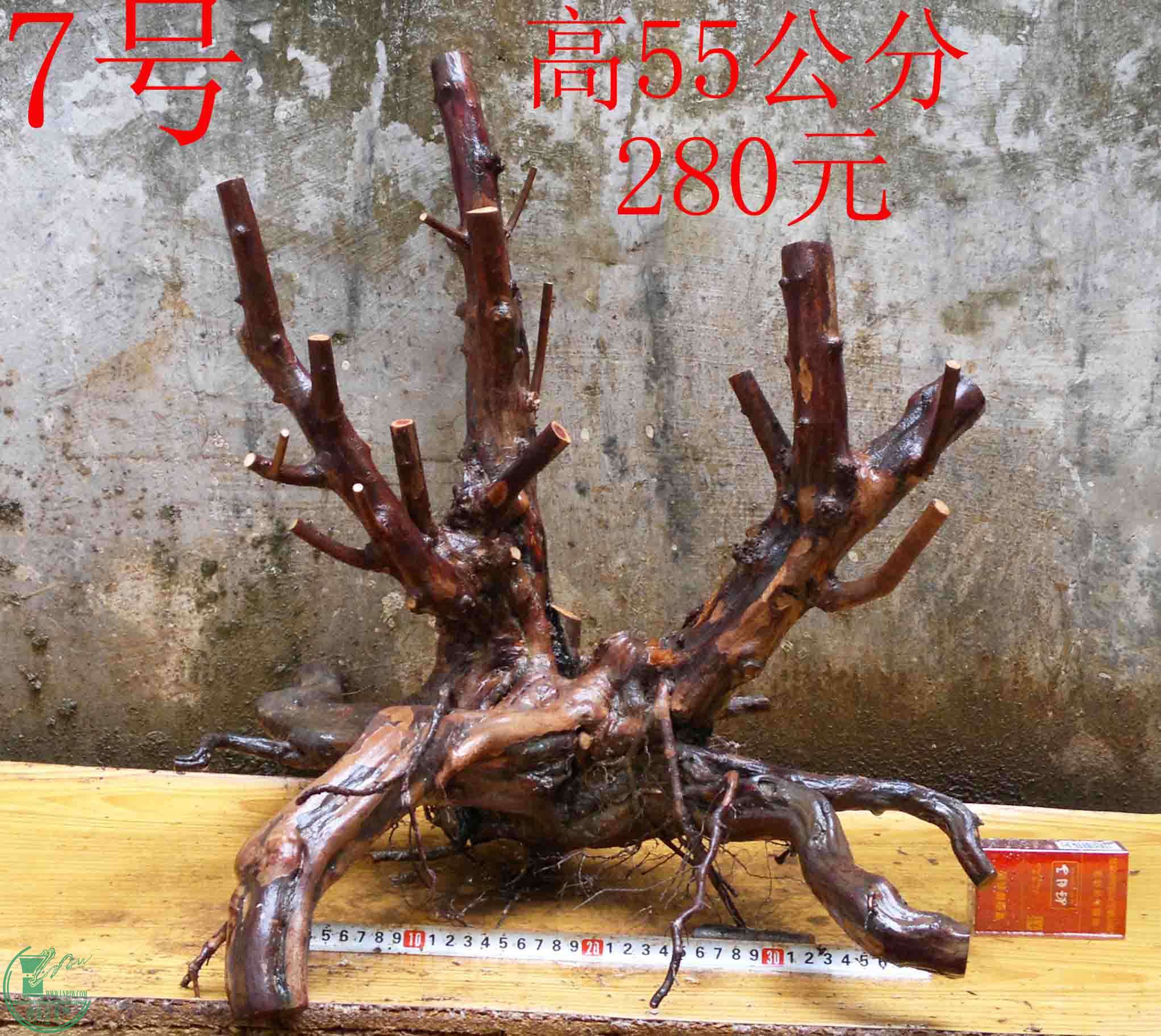 2016040314370.jpg