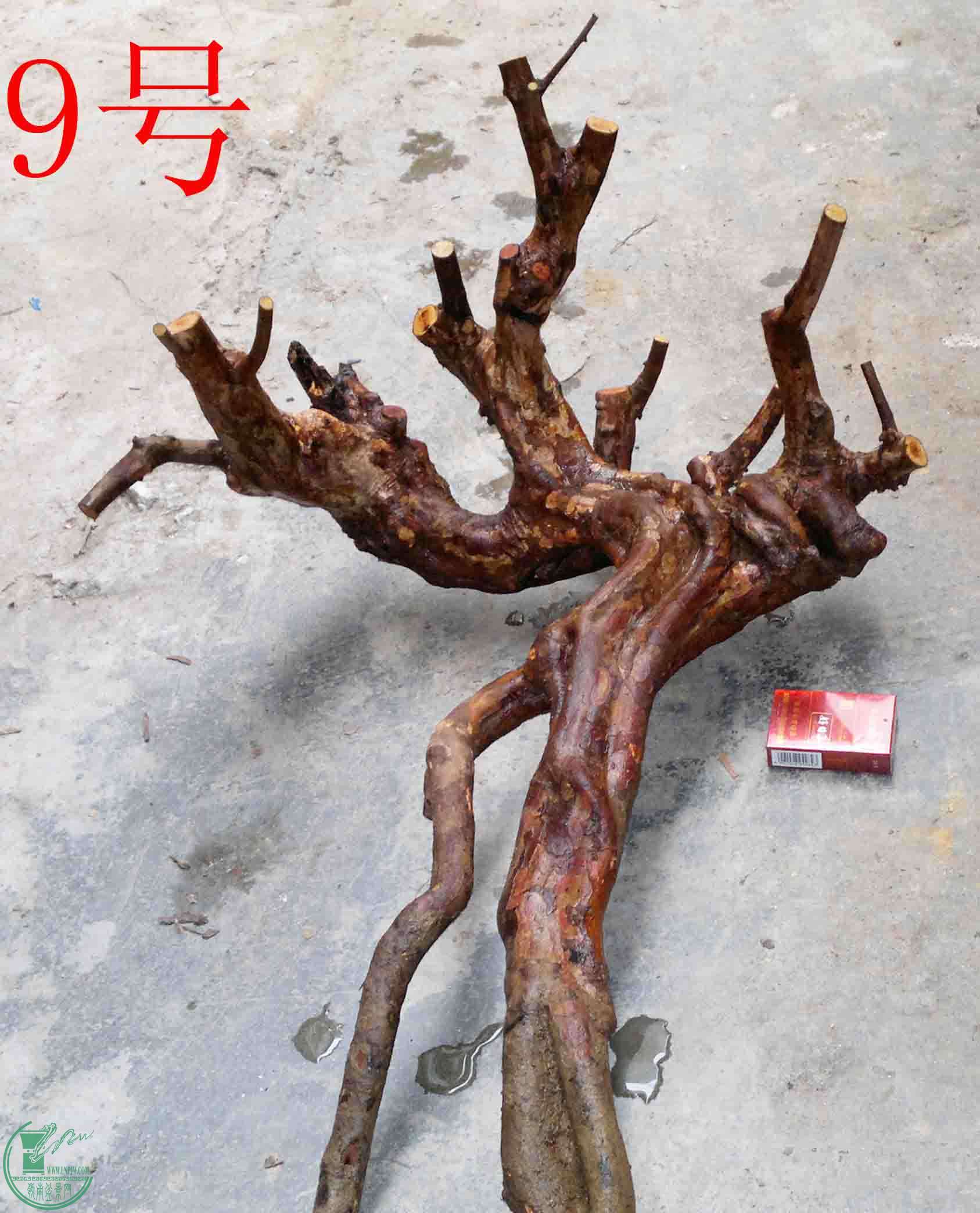 2016040314475.jpg
