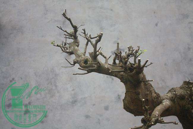 Ƭ20131026ۺ 1071.jpg