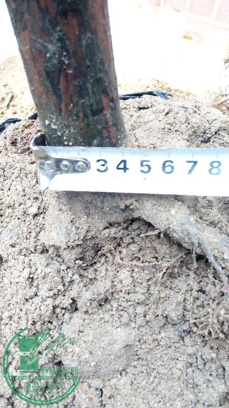 778362