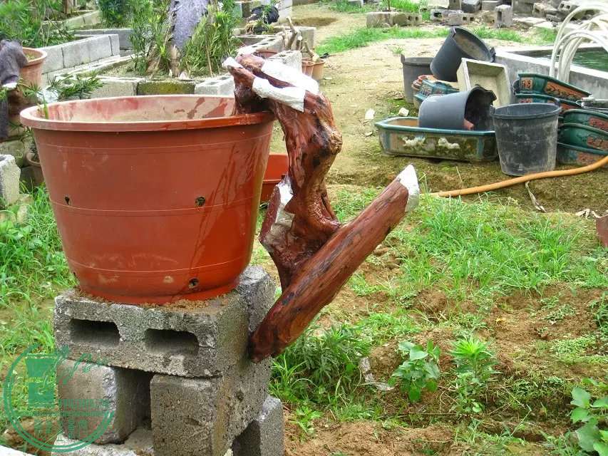 555.jpg
