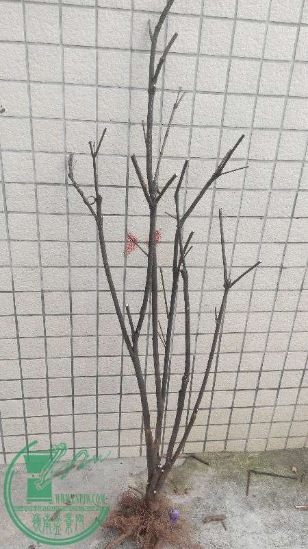 778530