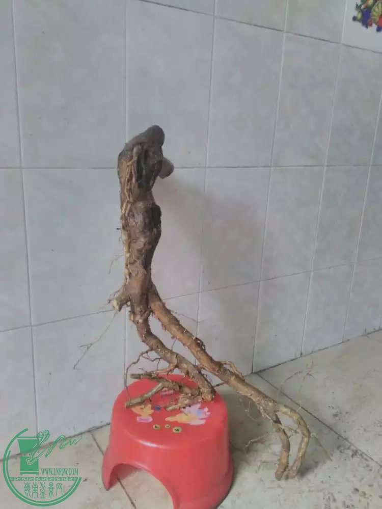18.jpg