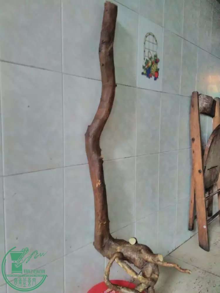25.jpg