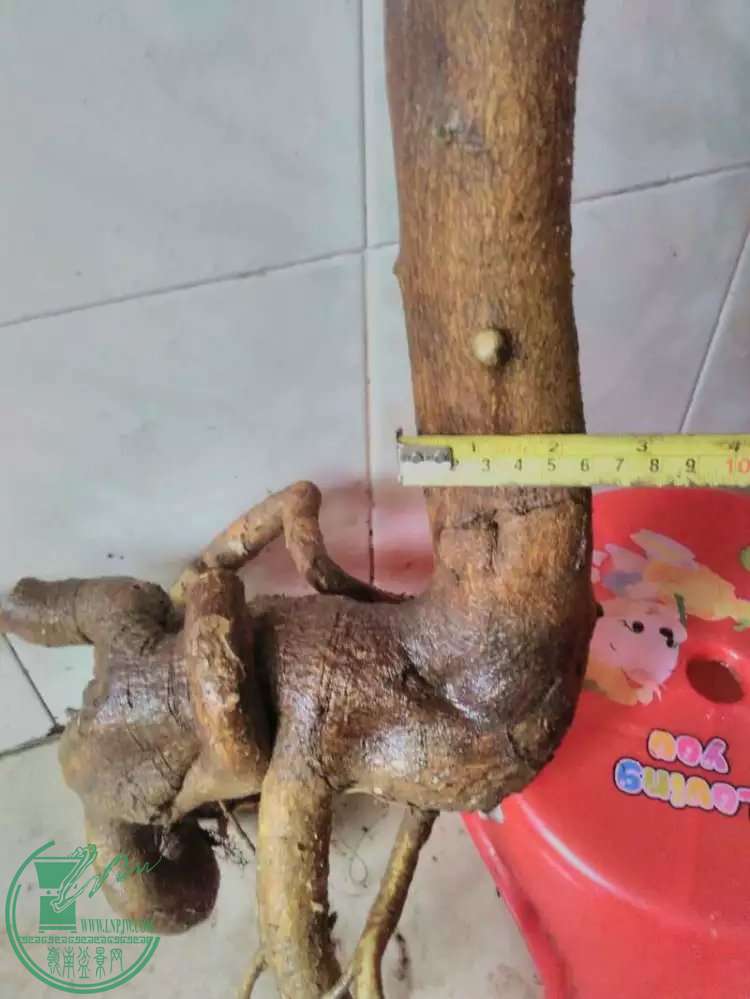20.jpg