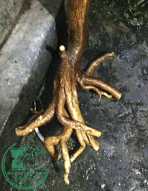 2_.jpg