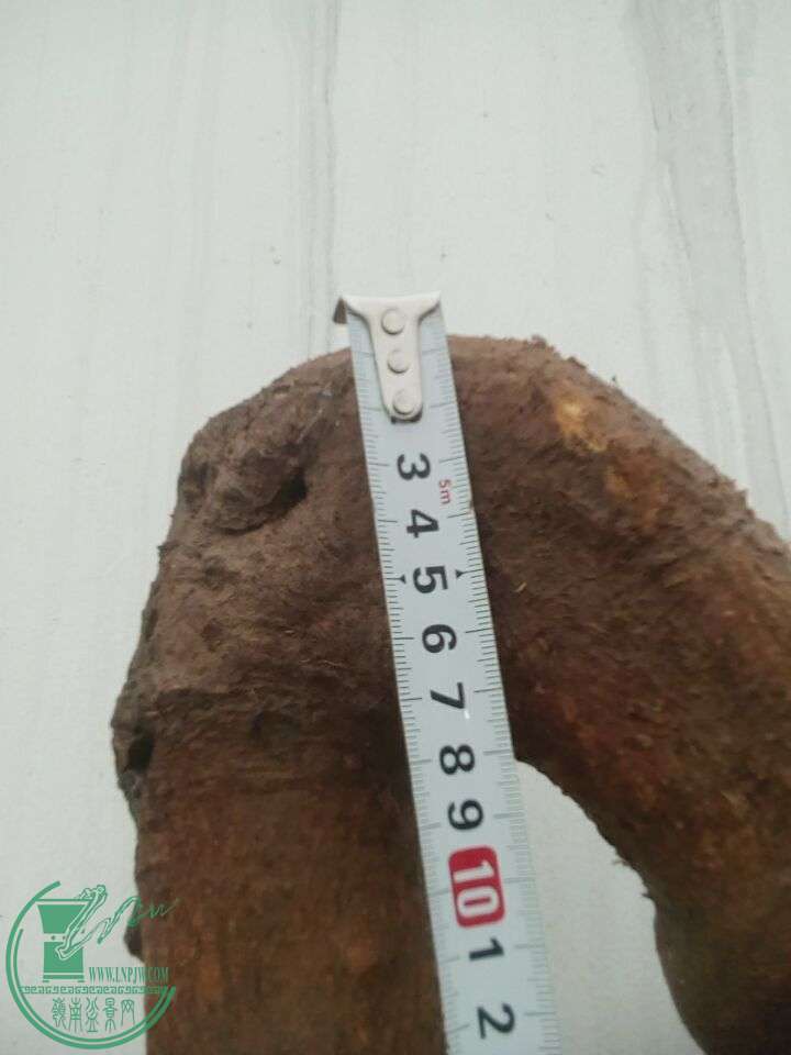 90AC1B0093DEDB51380C3F813E25A63D.jpg