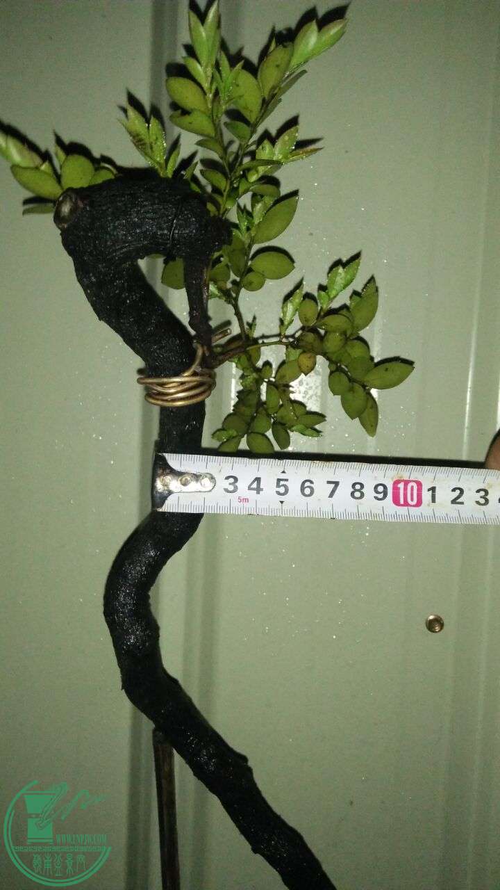 QQͼƬ20160406205739.jpg
