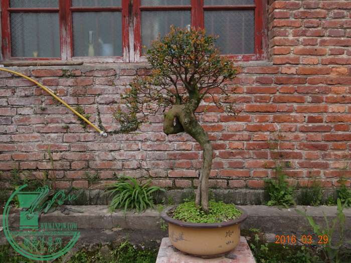 DSC07196.JPG