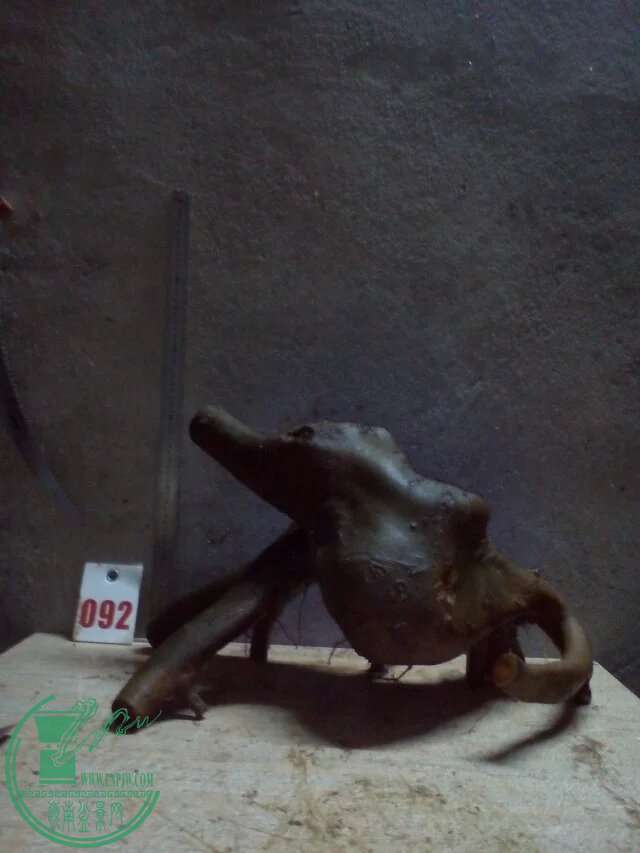 921.jpg