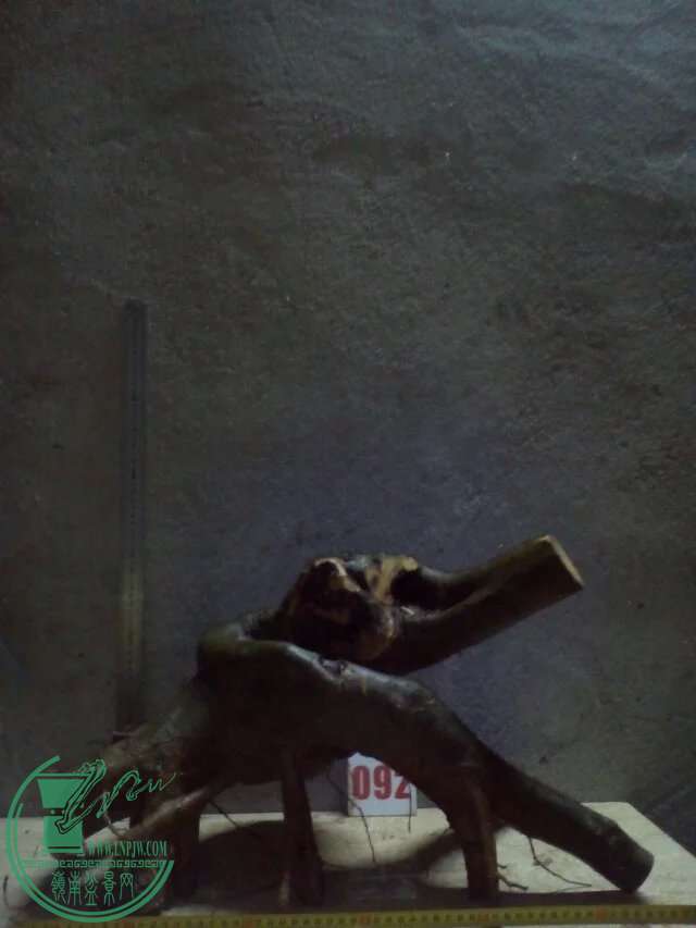 92.jpg