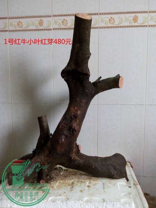 P60407-164058_.jpg