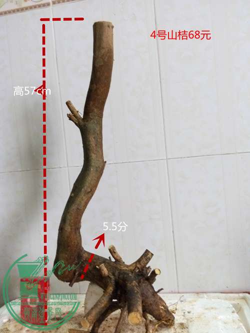 P60407-165005_.jpg