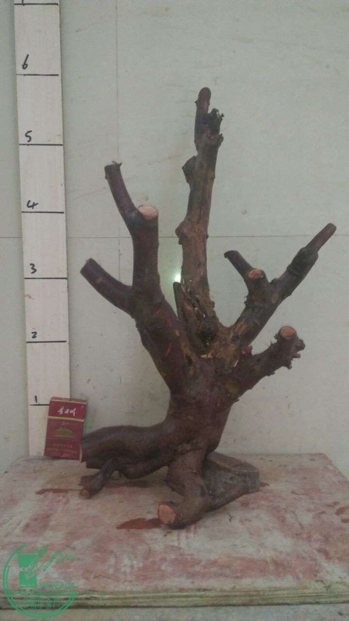 QQͼƬ20160407193611.jpg
