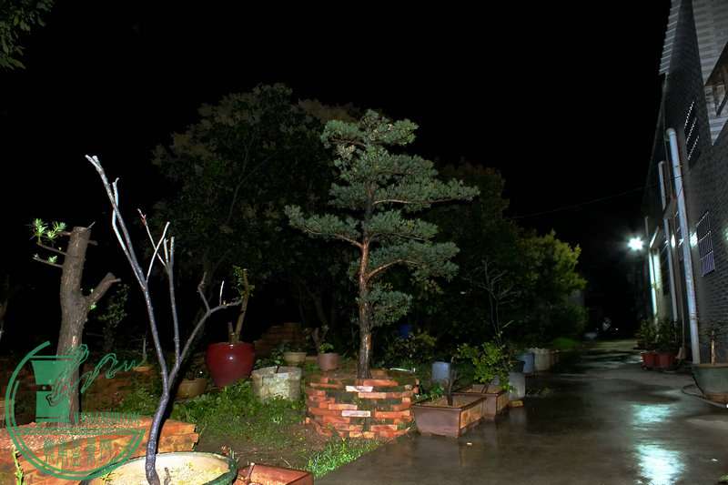 DSCF2739.JPG