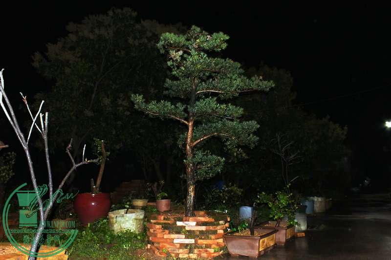 DSCF2740.JPG