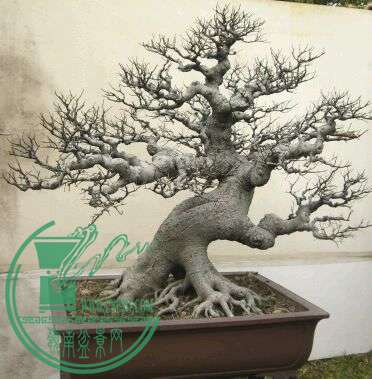 95cad1c8a786c917524cead6cb3d70cf3ac75795.jpg