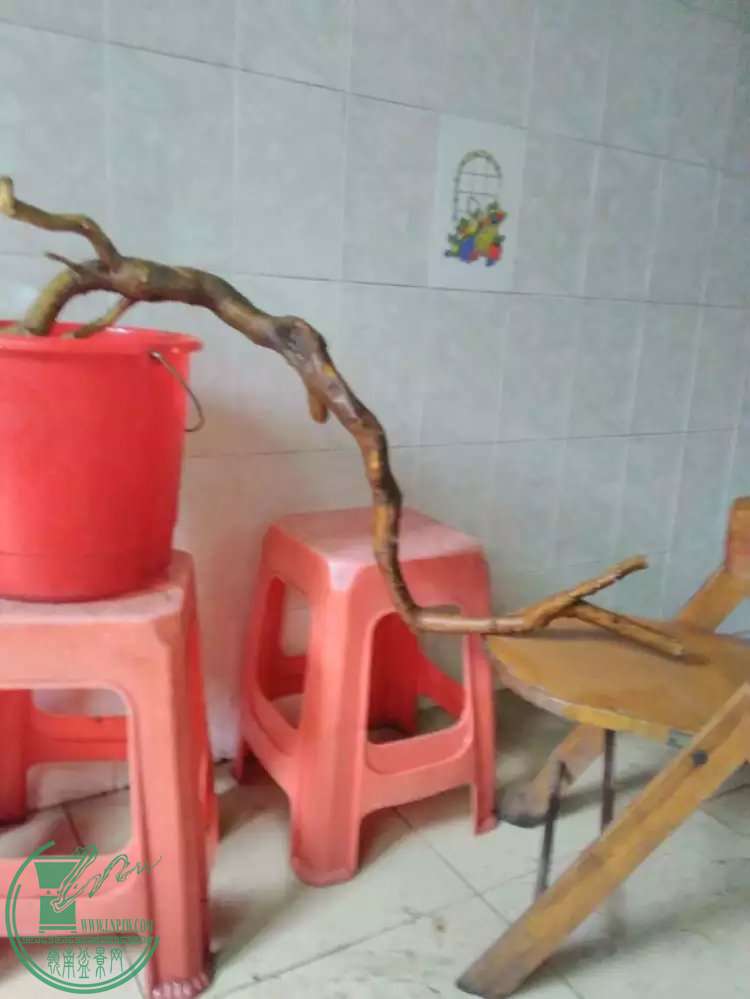 79.jpg