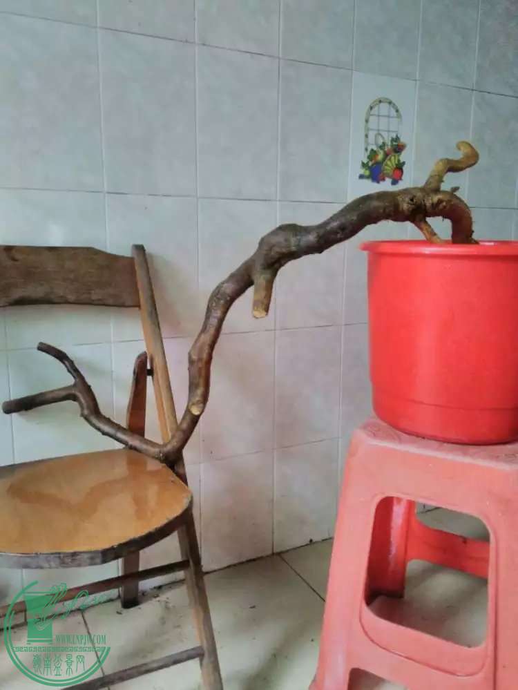 80.jpg