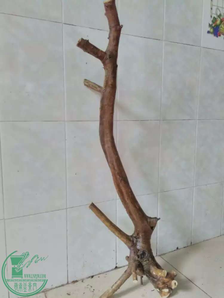 76.jpg