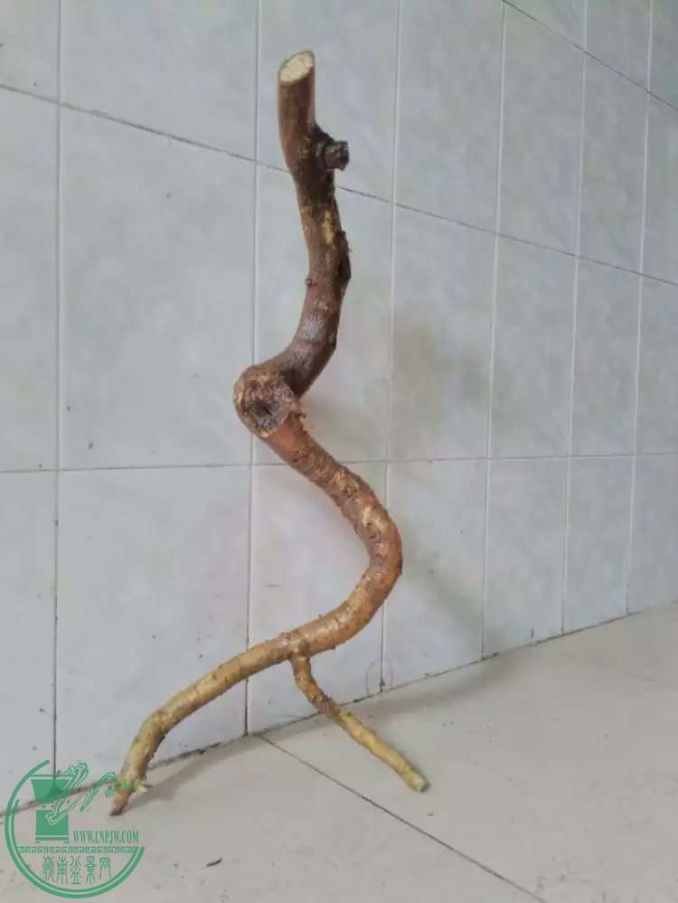 70.jpg